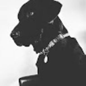 Meet your Posher, Ty & jane